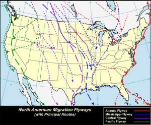 USGS flyway map