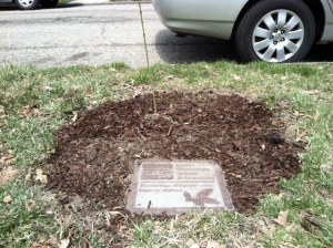 LOUA tree marker all