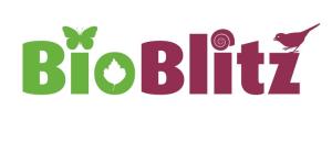 bioblitz
